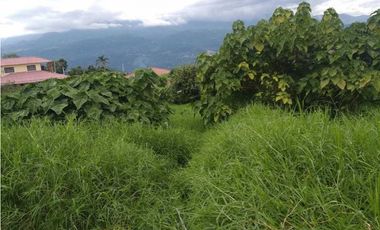 Lote Campestre De 1500 M² En La Mesa Cundi
