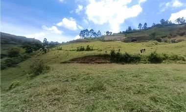 Lote en venta Marinilla - vereda Salto Arriba