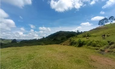 Lote en venta Marinilla - vereda Salto Arriba