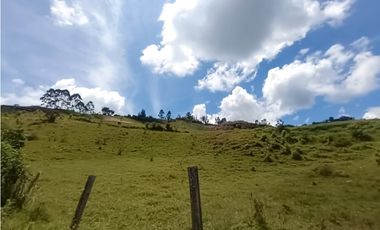 Lote en venta Marinilla - vereda Salto Arriba