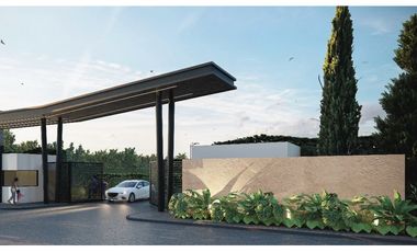 Lotes desde 599 hasta 1.500m2 en parcelación en venta El Bolo Palmira