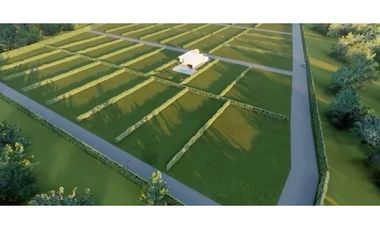 Lotes desde 599 hasta 1.500m2 en parcelación en venta El Bolo Palmira