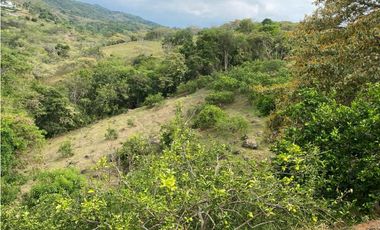 VENTA LOTE SAN JERÓNIMO, ANTIOQUIA