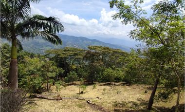 VENDO FINCA EN VILLETA