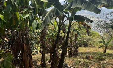 VENDO FINCA EN VILLETA