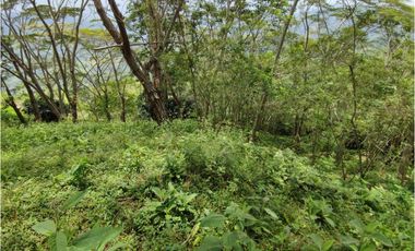 VENDO FINCA EN VILLETA