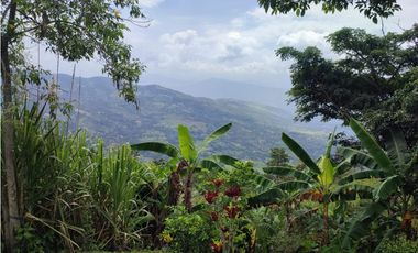 VENDO FINCA EN VILLETA