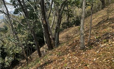 VENDO FINCA EN VILLETA
