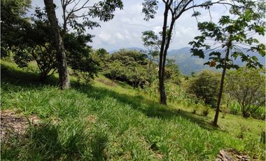 VENDO FINCA EN VILLETA