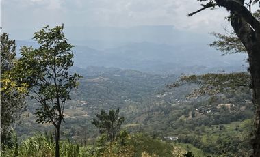 VENDO FINCA EN VILLETA