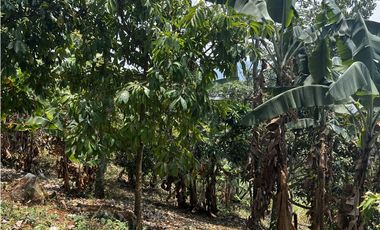 VENDO FINCA EN VILLETA