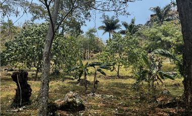 VENDO FINCA EN VILLETA