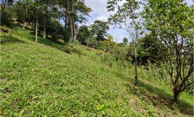 VENDO FINCA EN VILLETA