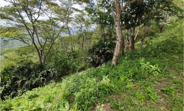 VENDO FINCA EN VILLETA