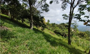 VENDO FINCA EN VILLETA