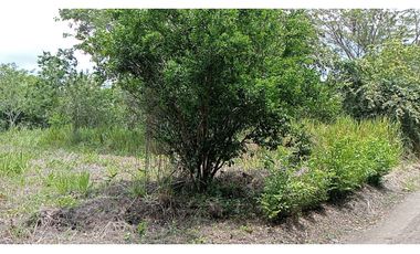 VENDO LOTE ESQUINERO DE 1.000 METROS EN CONJUNTO SAN ANTONIO DE APULO