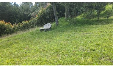 Lote En Venta Marinilla Sector Cimarronas 3.765 mts²