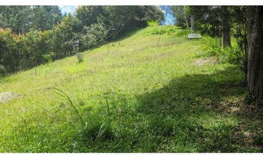 Lote En Venta Marinilla Sector Cimarronas 3.765 mts²