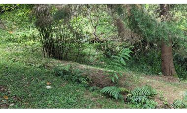 Lote En Venta Marinilla Sector Cimarronas 3.765 mts²