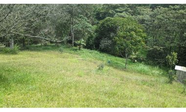 Lote En Venta Marinilla Sector Cimarronas 3.765 mts²