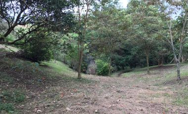 Lote En Venta Marinilla Sector Cimarronas 3.765 mts²