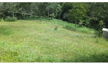 Lote En Venta Marinilla Sector Cimarronas 3.765 mts²