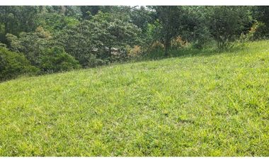 Lote En Venta Marinilla Sector Cimarronas 3.765 mts²