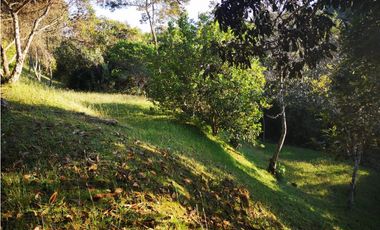 Venta de Lote en el municipio de El Retiro, Parcelación La Cascada