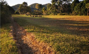 Venta de Lote en el municipio de El Retiro, Parcelación La Cascada