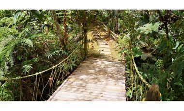 Venta de Lote en el municipio de El Retiro, Parcelación La Cascada