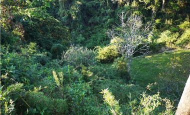 Venta de Lote en el municipio de El Retiro, Parcelación La Cascada