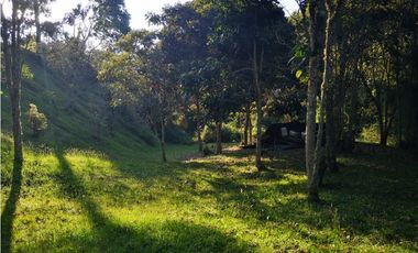Venta de Lote en el municipio de El Retiro, Parcelación La Cascada
