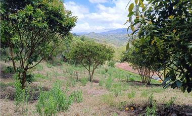 Finca en venta con vista a la piedra de El Peñol - Vereda La Hélida