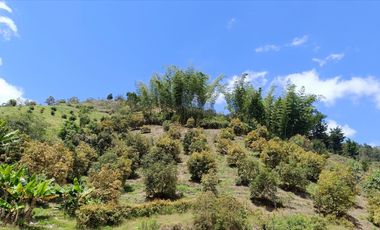 Finca en venta con vista a la piedra de El Peñol - Vereda La Hélida