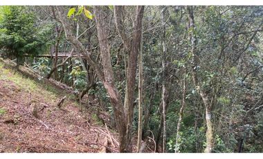 VENDO CASA EN SANTA ELENA V LA PALMA