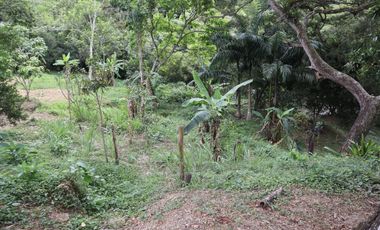 VENDO FINCA EN VILLETA