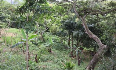 VENDO FINCA EN VILLETA