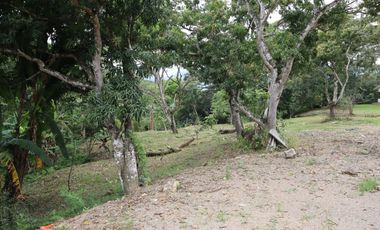 VENDO FINCA EN VILLETA