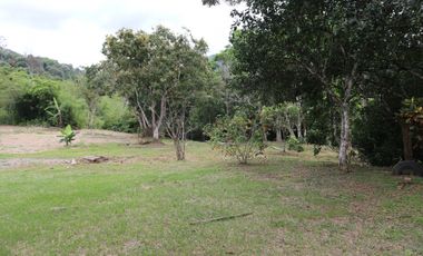 VENDO FINCA EN VILLETA