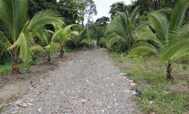 VENDO FINCA EN VILLETA