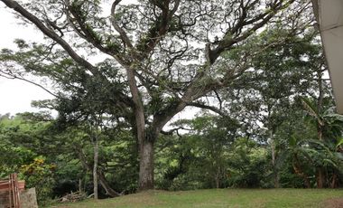 VENDO FINCA EN VILLETA