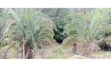 Lote En Condominio entre Anapoima y La Mesa