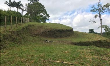 VENTA AMPLIO LOTE DE 10036MTS VIA ALTAGRACIA PEREIRA