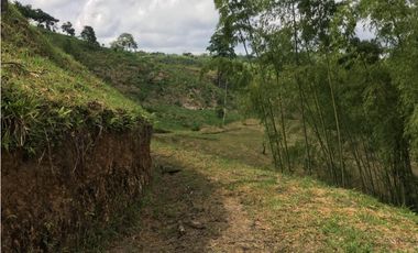 VENTA AMPLIO LOTE DE 10036MTS VIA ALTAGRACIA PEREIRA