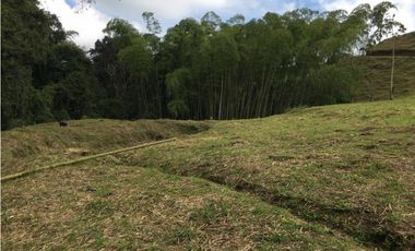 VENTA AMPLIO LOTE DE 10036MTS VIA ALTAGRACIA PEREIRA