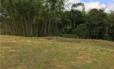 VENTA AMPLIO LOTE DE 10036MTS VIA ALTAGRACIA PEREIRA