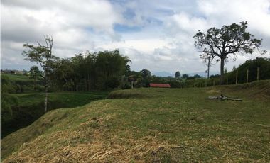 VENTA AMPLIO LOTE DE 10036MTS VIA ALTAGRACIA PEREIRA