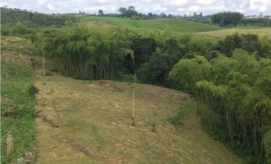 VENTA AMPLIO LOTE DE 10036MTS VIA ALTAGRACIA PEREIRA