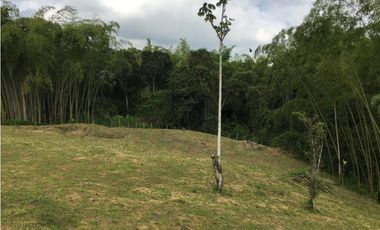 VENTA AMPLIO LOTE DE 10036MTS VIA ALTAGRACIA PEREIRA