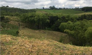 VENTA AMPLIO LOTE DE 10036MTS VIA ALTAGRACIA PEREIRA